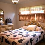 The master bedroom with a large closet and rollaway bed.