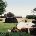 Backyard patio in summer.